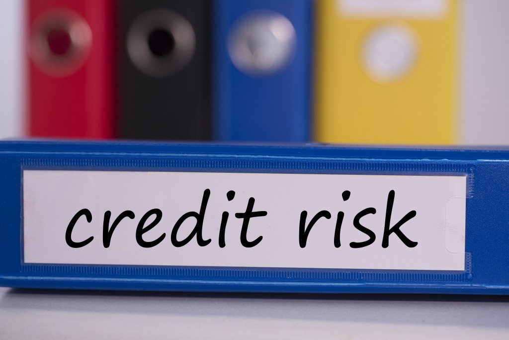 credit risk policies and procedures